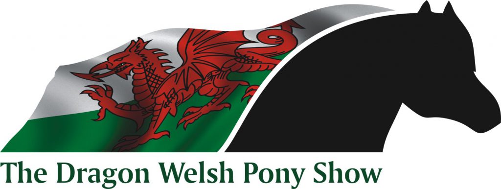 The Dragon Welsh Pony Show