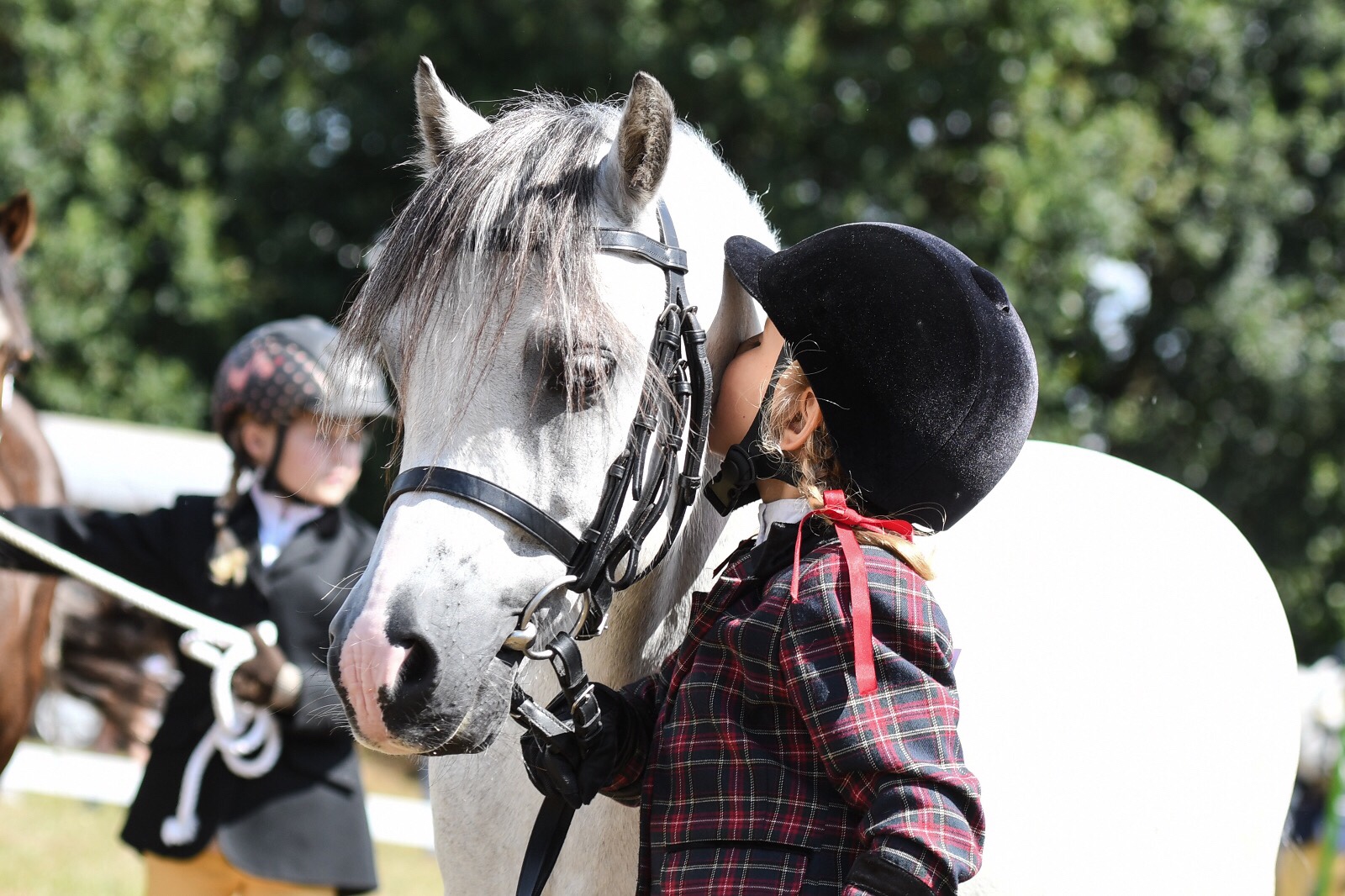 True love! Dragon Welsh Pony Show 2018.