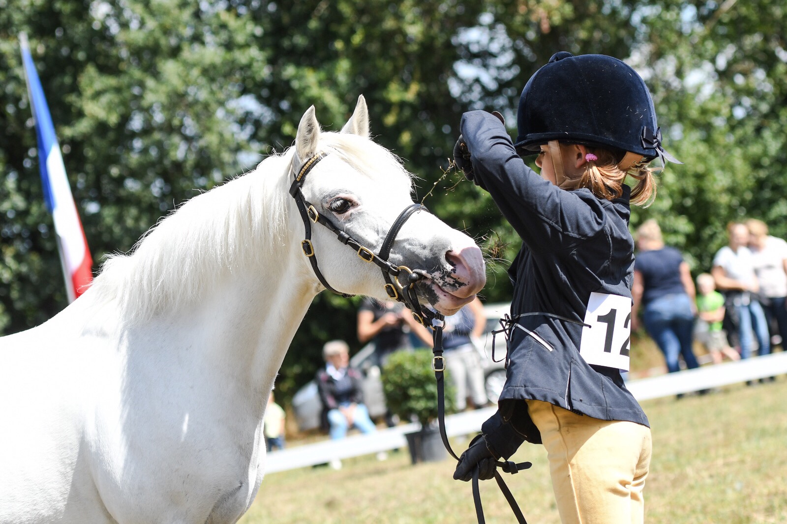 Dragon Welsh Pony Show 2018 - Young Handlers