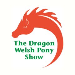 The Dragon Welsh Pony Show